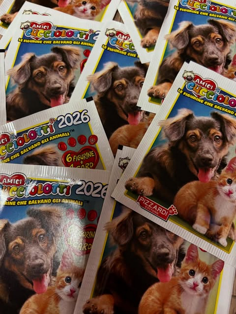 Klassisches Album-Set und Sticker-Beutel Friends CUCCIOLOTTI 2024 Starter Pack Book