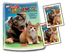 Klassisches Album-Set und Sticker-Beutel Friends CUCCIOLOTTI 2024 Starter Pack Book