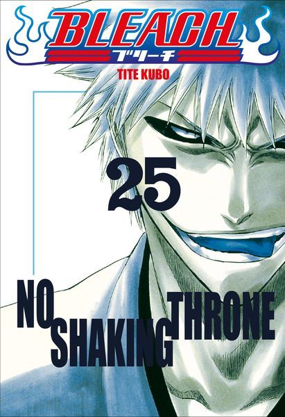 Bleach - Le manga de Tite Kubo dans une édition collector