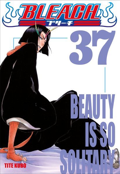 Bleach - Le manga de Tite Kubo dans une édition collector