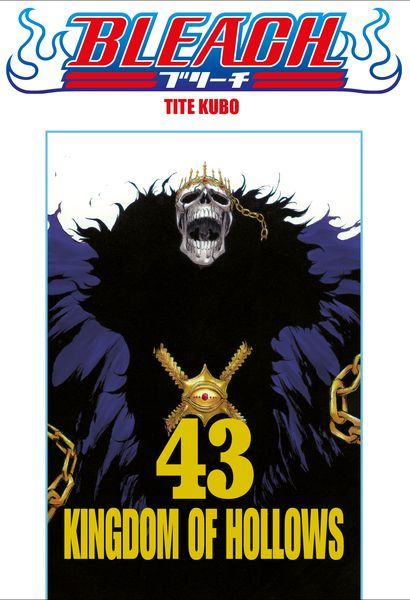 Bleach - Le manga de Tite Kubo dans une édition collector