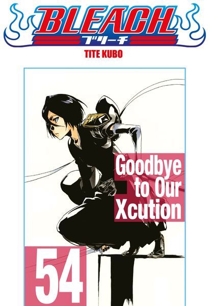 Bleach - Le manga de Tite Kubo dans une édition collector