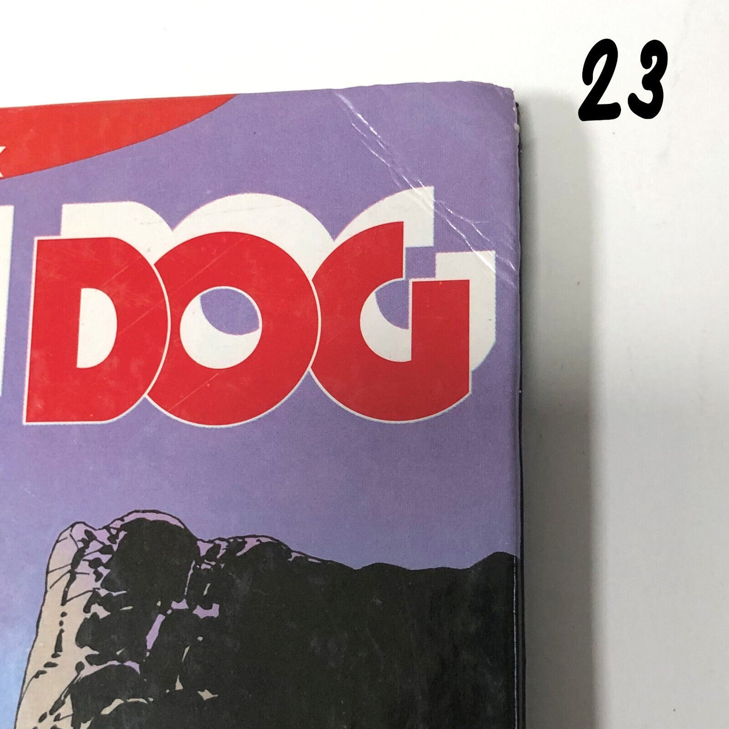 Lotto di Fumetti DYLAN DOG Collezione BOOK - Cartonata sequenza Completa