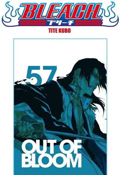 Bleach - Le manga de Tite Kubo dans une édition collector