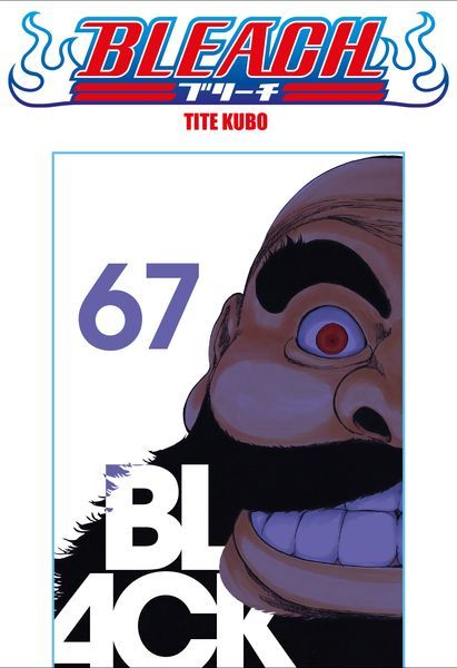Bleach - Le manga de Tite Kubo dans une édition collector