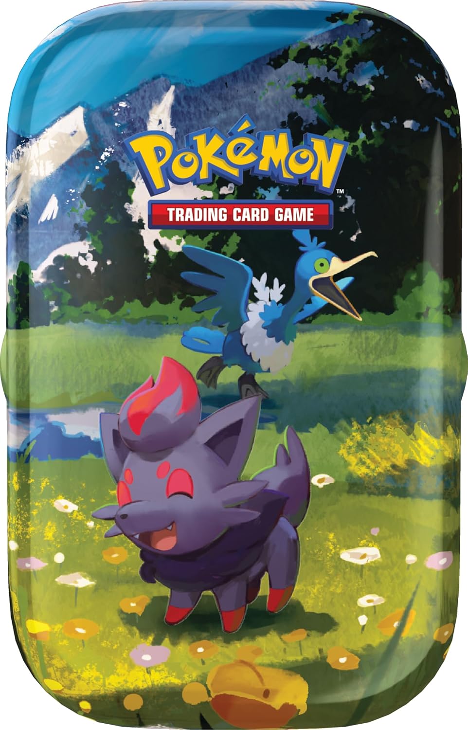 Pokémon: miniscatola da collezione Espansione Megaevoluzione - Ascesa Eroica (Zorua e Cramorant)
