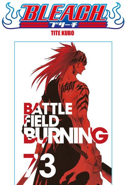 Bleach - Le manga de Tite Kubo dans une édition collector