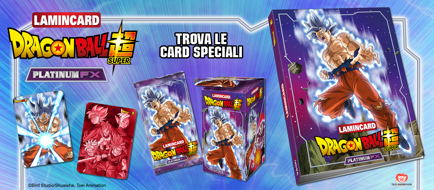 Dragon Ball Platinium Fx (2023) Empty Binder Album and/or Sleeves
