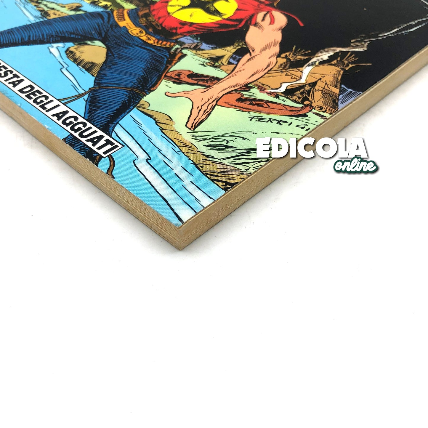 Comics Tutto ZAGOR The Forest of Ambush number n 1 Reprint Daim Press 1986