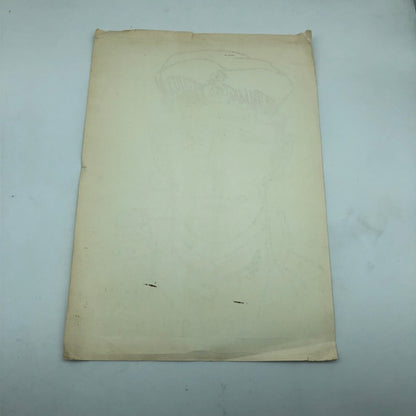 Cartoncino Illustrazione Hugo Pratt "laboratorio del fumetto - Montestella"