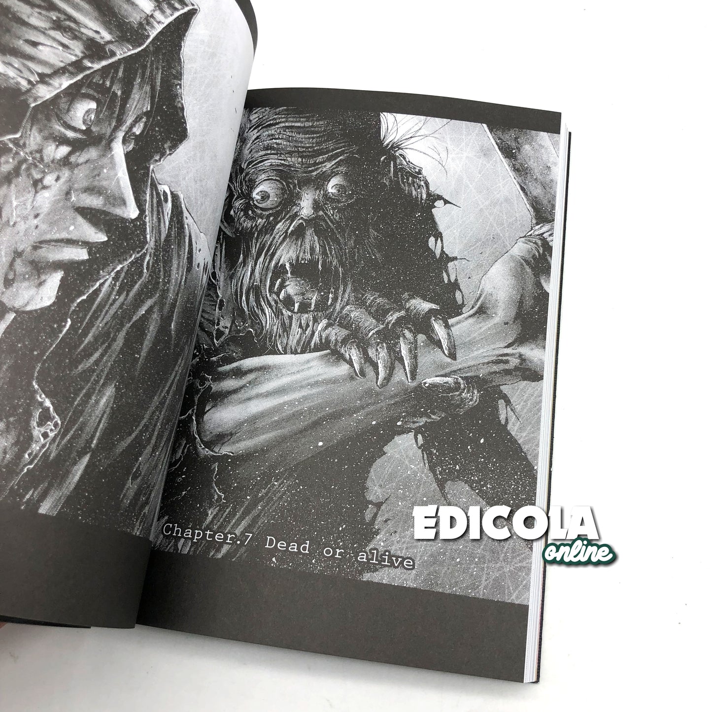 Fumetto Manga di Masasumi Kakizaki - HIDEOUT Variant Cover