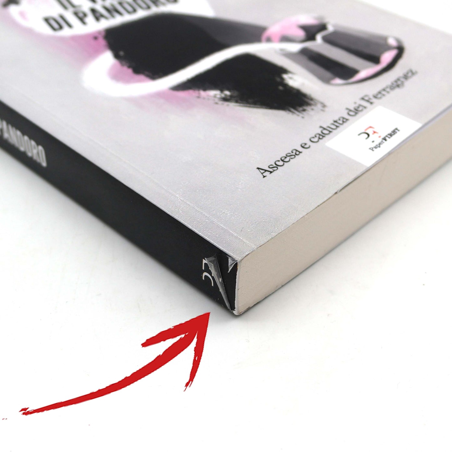 Livre Le Pot de Pandoro - Ascension et chute des Ferragnez de Selvaggia Lucarelli
