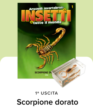 Collezione INSETTI da tutto il mondo - RBA 2026