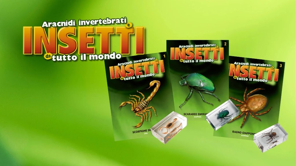Collezione INSETTI da tutto il mondo - RBA 2026