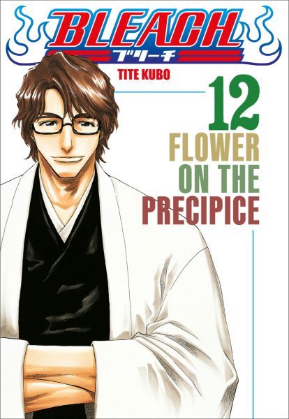 Bleach - Le manga de Tite Kubo dans une édition collector
