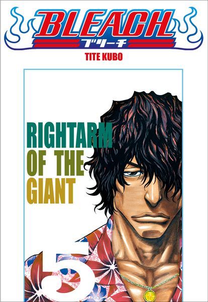 Bleach - Le manga de Tite Kubo dans une édition collector