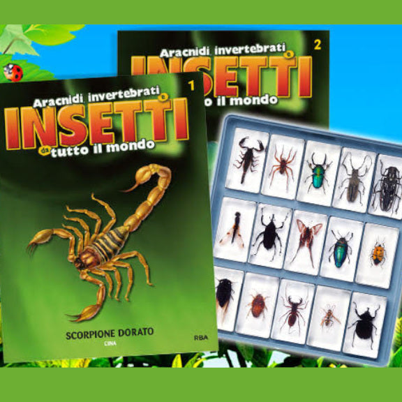 Collezione INSETTI da tutto il mondo - RBA 2026