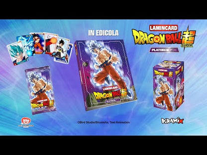 Dragon Ball Platinium Fx (2023) Empty Binder Album and/or Sleeves